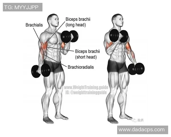 哑铃锻炼肱二头肌的有效方法与技巧分享