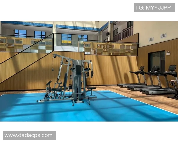 寻找健身器材专卖店的最佳地址与推荐指南助你轻松健身