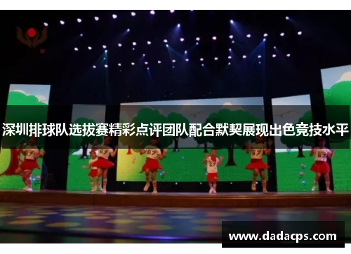 深圳排球队选拔赛精彩点评团队配合默契展现出色竞技水平