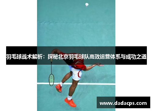 羽毛球战术解析：探秘北京羽毛球队高效运营体系与成功之道